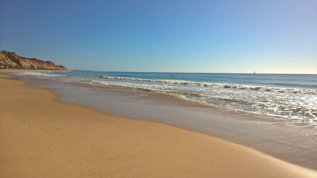 אלבופיירה Luxurious T2 Apartment, Olhos Dagua מראה חיצוני תמונה